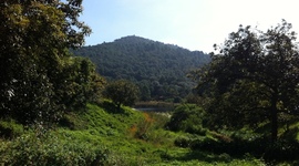 Timeline: Mi linea del tiempo