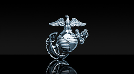 Timeline: United States Marine Corps- Essay Outline