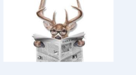 Timeline: Michigan Adventure