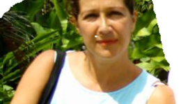 Timeline: Fases del Plan de negocios