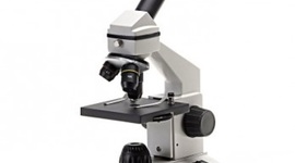 Timeline: Cell Theory and Microscopes