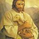 Jesus shepherd