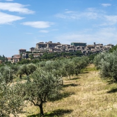 Timeline: Dights falls