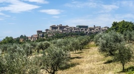 Timeline: Dights falls