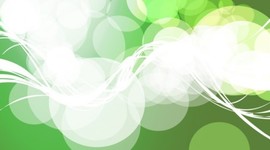 Timeline: La ecología