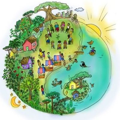 Timeline: Ecología Danitzia González