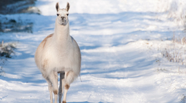Timeline: The Birth Of Modern America.