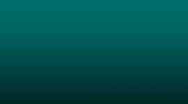 Timeline: Civil Rights Comparitive Timeline - David Le