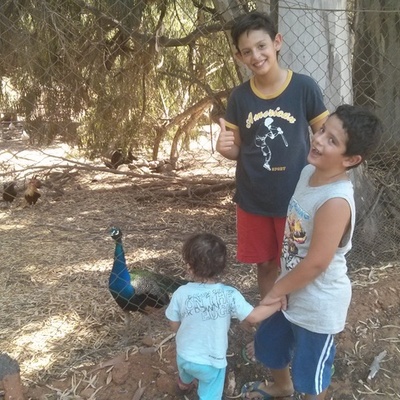 Timeline: ציר הזמן של מעיין פיירברג