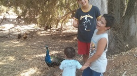 Timeline: ציר הזמן של מעיין פיירברג