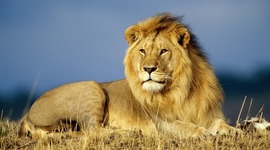 Timeline: nacimiento