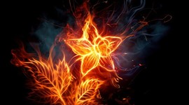 Timeline: El aumento poblacional