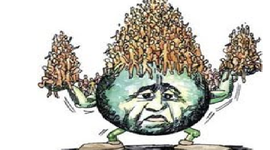 Timeline: Sobre Población En Colombia