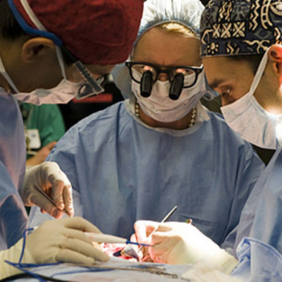 Timeline: History of Organ Transplantation