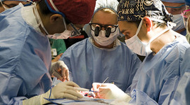 Timeline: History of Organ Transplantation