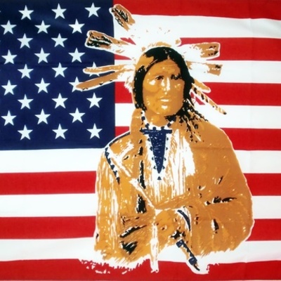 Timeline: American Indian Timeline Assignment