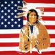 Usa red indian 5 x 3 flag 3166 p