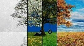 Timeline: Las estaciones del año