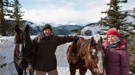 Timeline: People rescue trapped horses