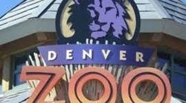 Timeline: Denver Zoo