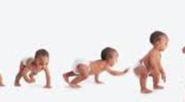 Timeline: Infancy & Prenatal Timeline