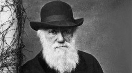 Timeline: La vida de DArwin