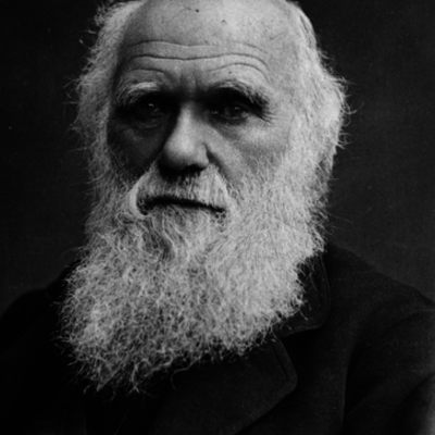 Timeline: Eix cronològic de la vida de Charles Darwin