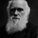 Charles darwin 1