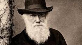 Timeline: CMC-Darwin