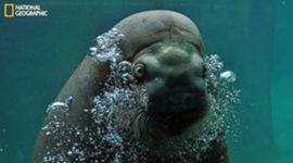 Timeline: Campaigns and Elections