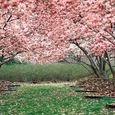 Timeline: Защита информации и авторского права в сети Интернет