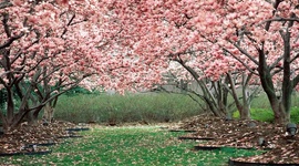 Timeline: Защита информации и авторского права в сети Интернет