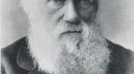 Timeline: Biografia de Charles Darwin