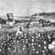 Slaves in the cotton fields
