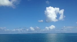 Timeline: The Chinese Revolution