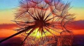 Timeline: Historia de la ASC -Ainho-