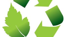 Timeline: The Environmental Movement: Major events