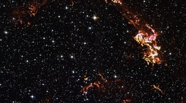 Timeline: Cronograma sobre los principales acontecimientos del DNA