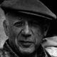 Picasso