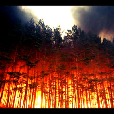 Timeline: Natural Disasters