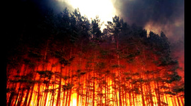 Timeline: Natural Disasters