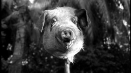 Timeline: Lord of the Flies timeline