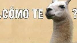 Timeline: Population Movement