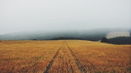 Timeline: The Life of Muhammad