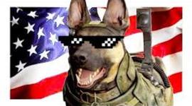 Timeline: christophermartinez