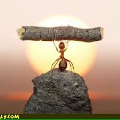 Timeline: world war 1