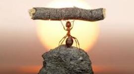 Timeline: world war 1