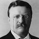 Theo roosevelt