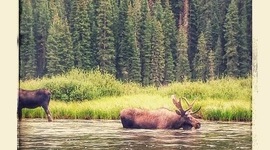 Timeline: Social studies WYNTK- 6th