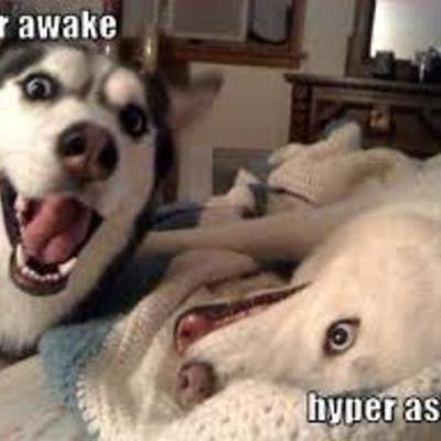 Timeline: Khmer Empire